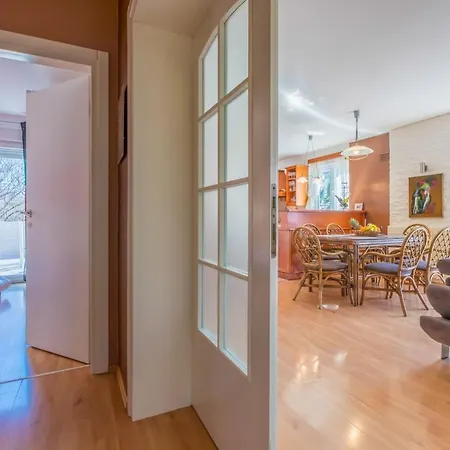 Apartment Alin
